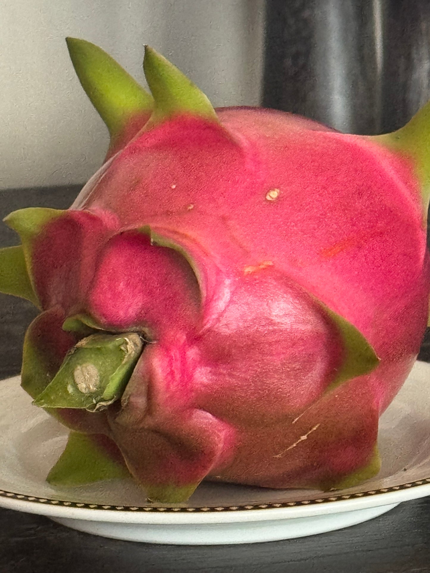 Dragon Fruit Plant: A Tropical Delicacy, Editable White Flower, Tasty Fruit
